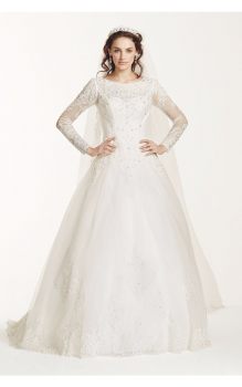 Elegant Beaded Neck Long Sleeves All Over Lace Ball Gown Wedding Dress with Drop-waist WG3726