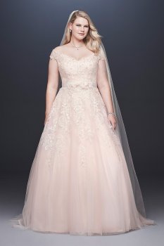Off-the-Shoulder Applique Plus Size Wedding Dress 9WG3940