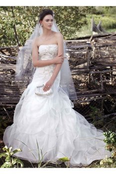 Organza Fit-and-Flare Gown with Drop Waist Style WG3416